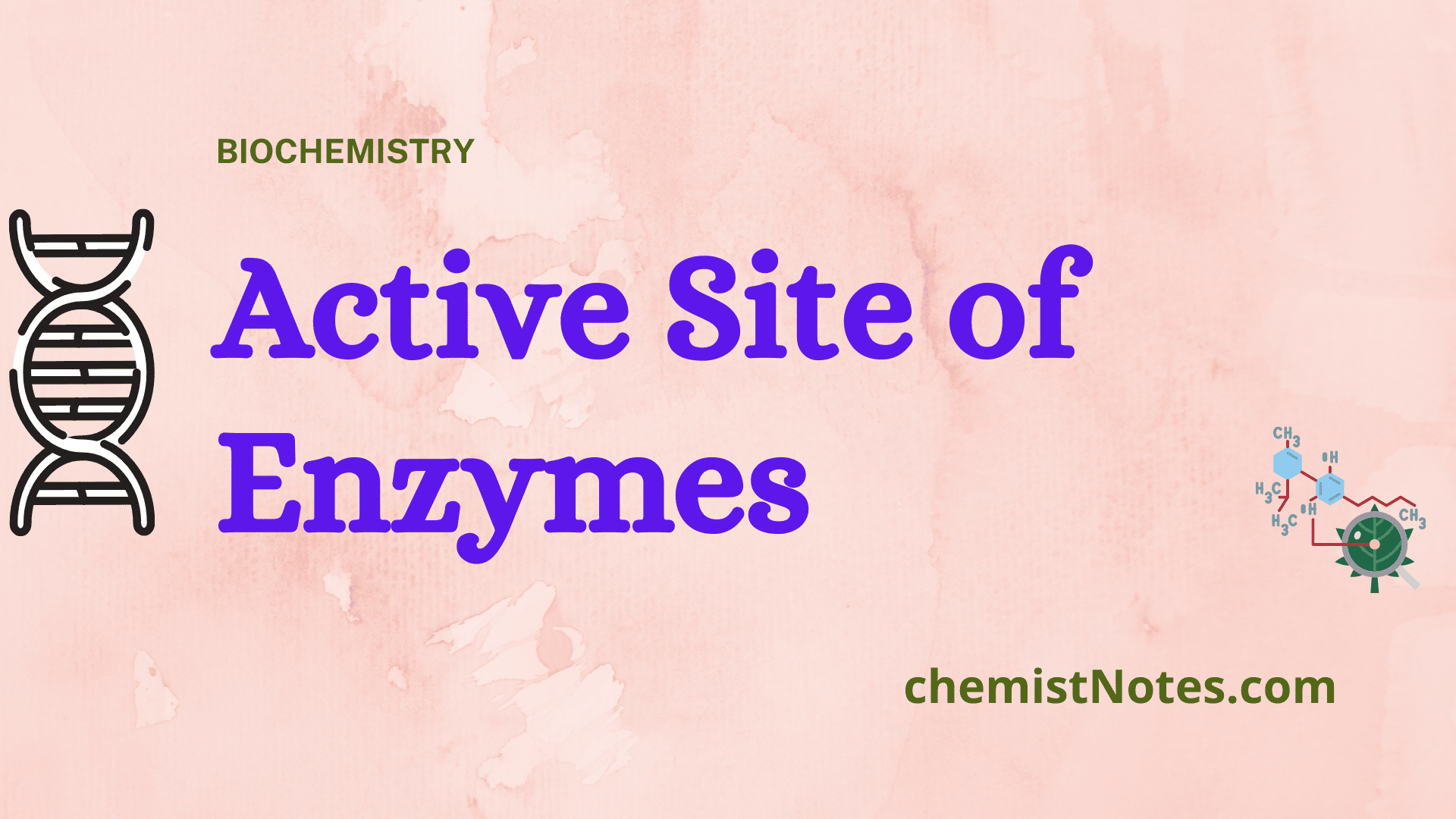  what Is Active Site Of Enzyme Chemistry Notes