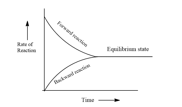 chemical equilibrium