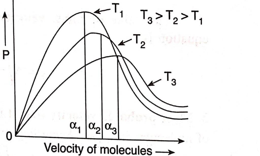 Maxwell distribution curve