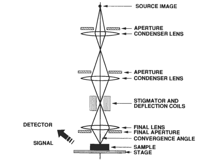 Scanning Electron Microscopy Principle And Applications - Chemistry Notes