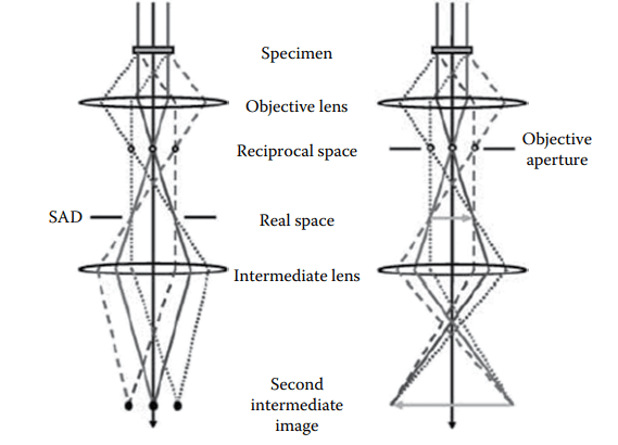 Transmission electron microscopy principle