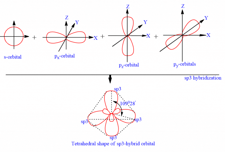 Hybridization Definition, types and examples Chemistry Notes