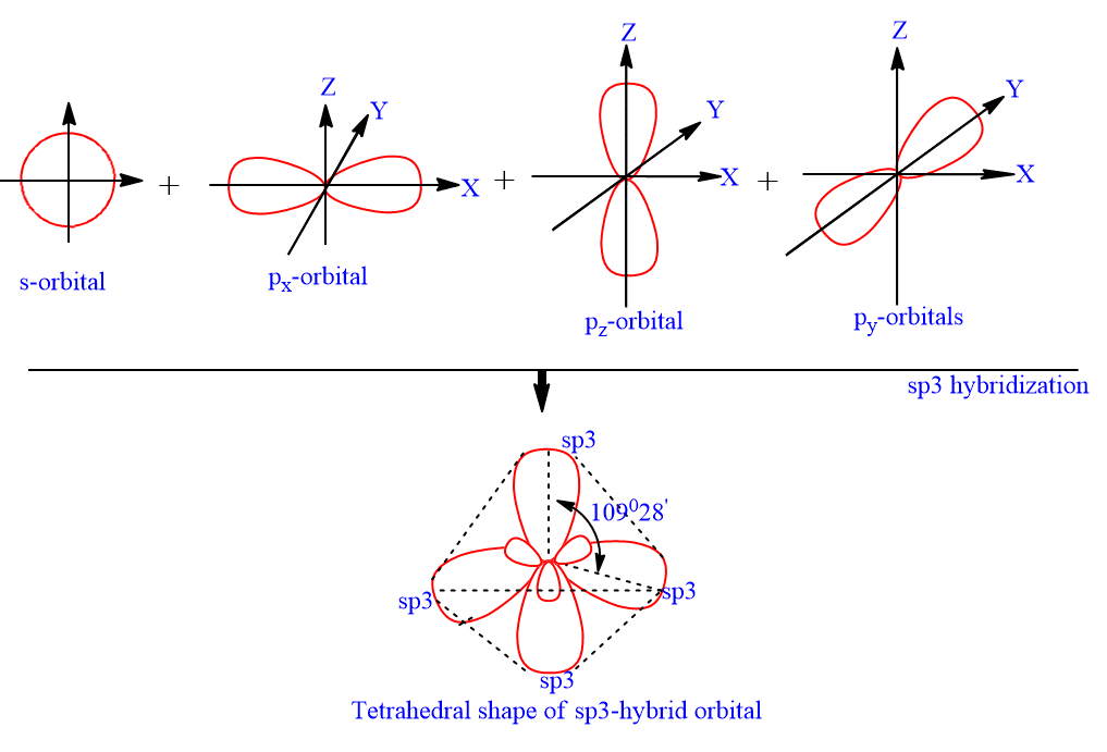 Hybridization
sp3-hybridization (tetrahedral hybridization)