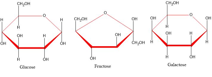 Carbohydrates
monosaccharides
glucose
fructose
galactose