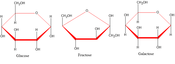 Carbohydrates
monosaccharides
glucose
fructose
galactose

