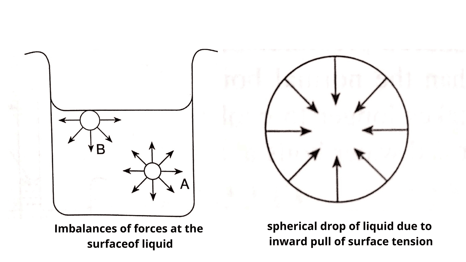 Surface Tension Definition, Units, Epic Examples, Effects, and