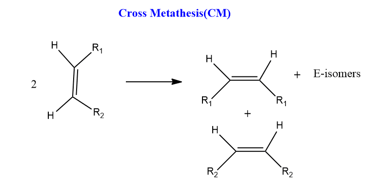 cross metathesis reaction