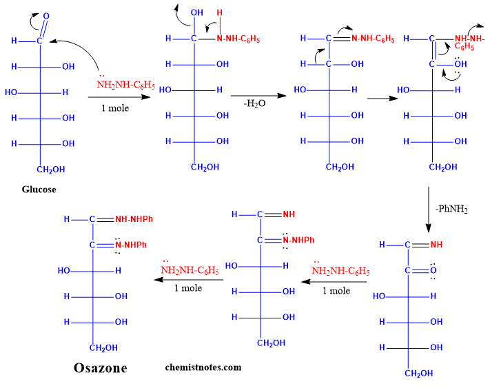 mechanism of osazone formation
osazone of glucose