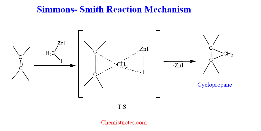 Simmons-smith reaction mechanism
mechanism of Simmons smith reaction