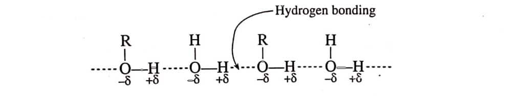 solubility of alcohol