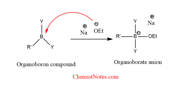 Function of base