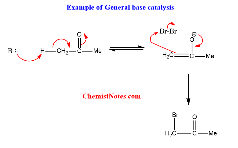 general base catalysis