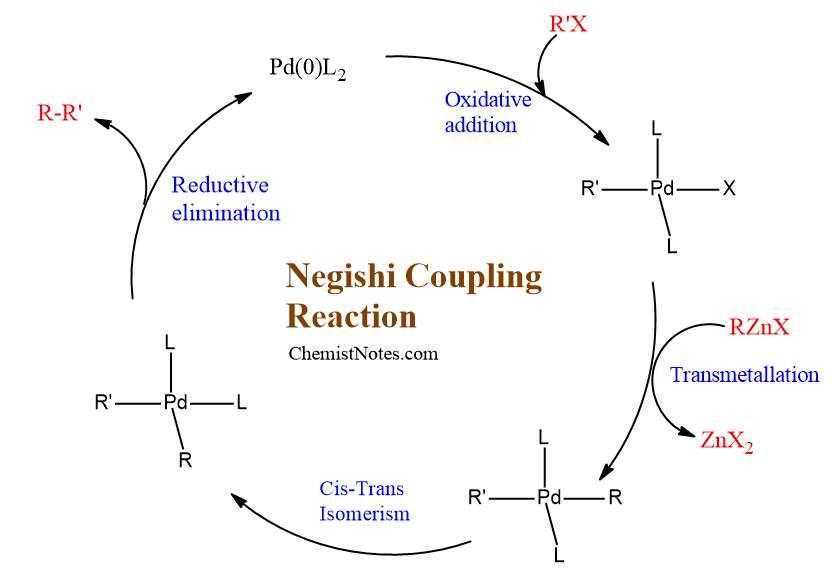 Negishi coupling reaction Mechanism, popular application Chemistry Notes