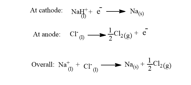 electrolytic cell reaction
Electrolysis of NaCl