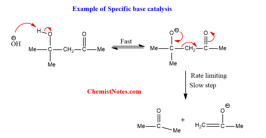 specific base catalysis