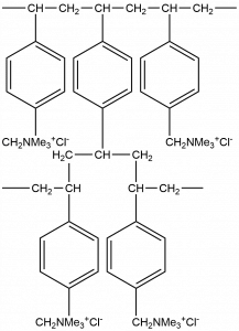 structure of anion exchange resin