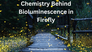 chemistry behind bioluminescence in firefly