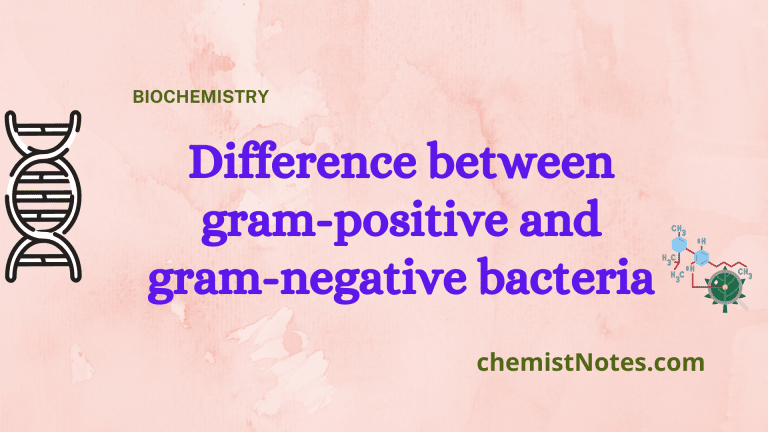 Difference between Gram positive and Gram negative bacteria