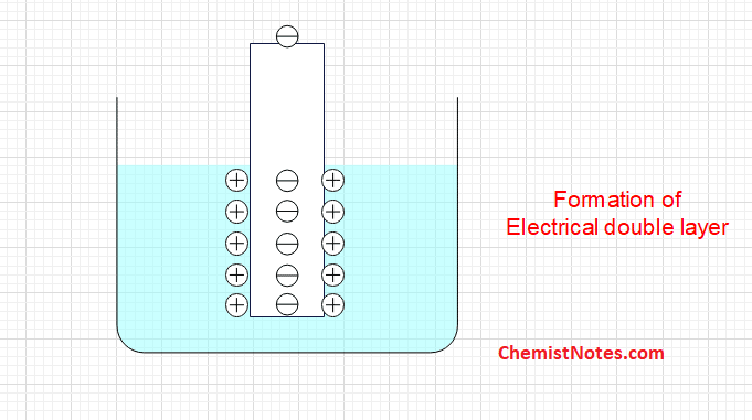 Single electrode potential
