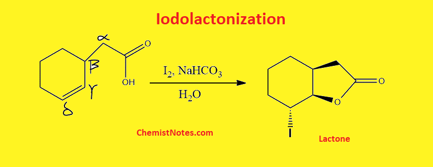 iodolactonization
