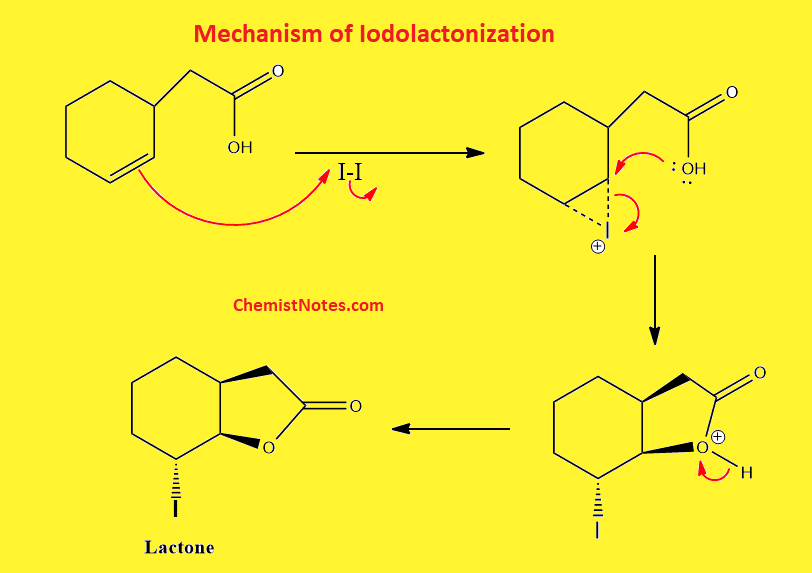 iodolactonization mechanism
