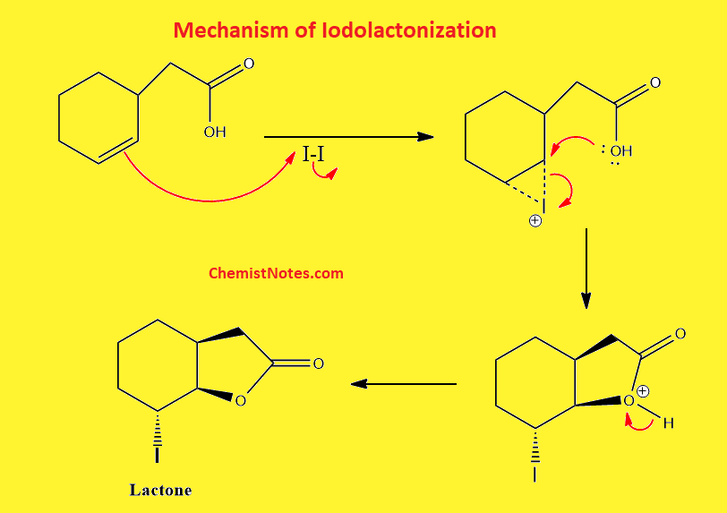 iodolactonization mechanism
