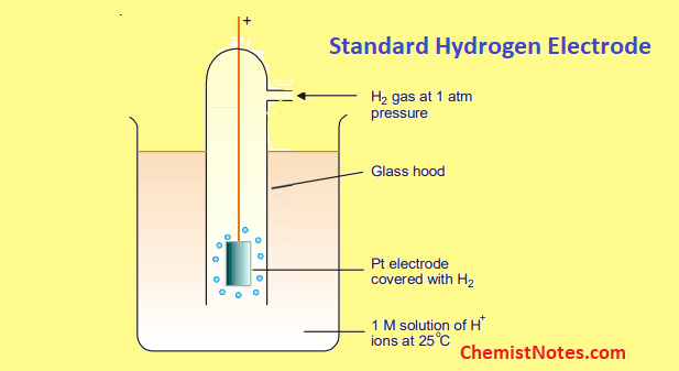 standard hydrogen electrode
standard hydrogen electrode diagram