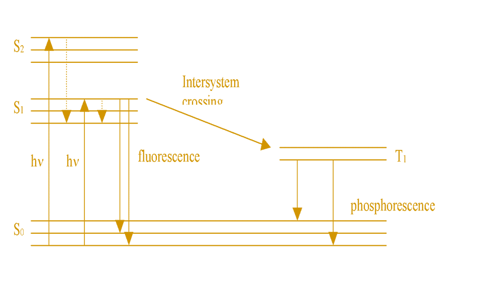 Jablonski Diagram