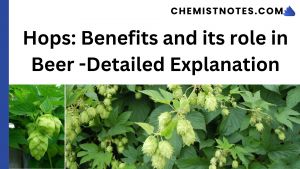 Hops: Benefits and its role in Beer -Detailed Explanation