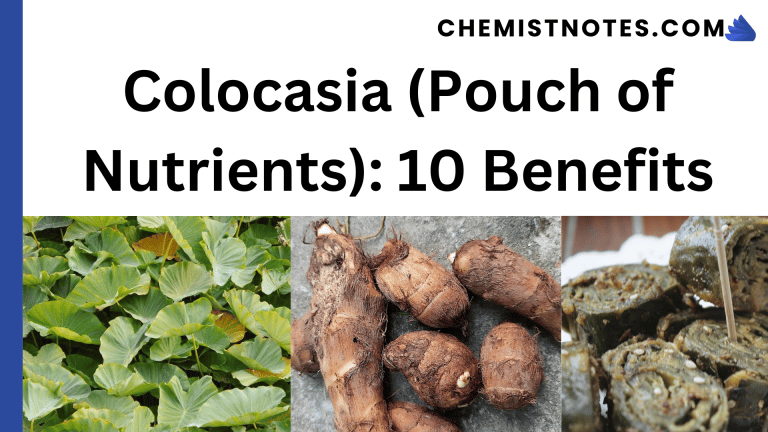Colocasia (Pouch of Nutrients): 10 Benefits