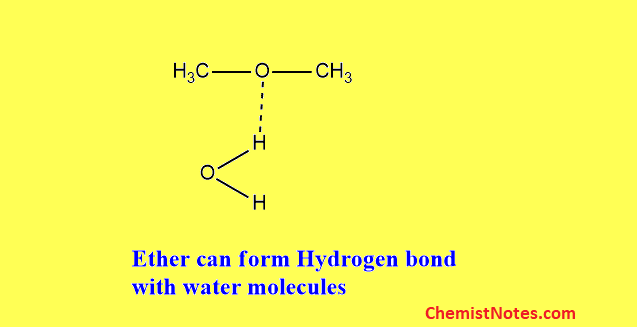 Does dimethyl ether have hydrogen bonding?