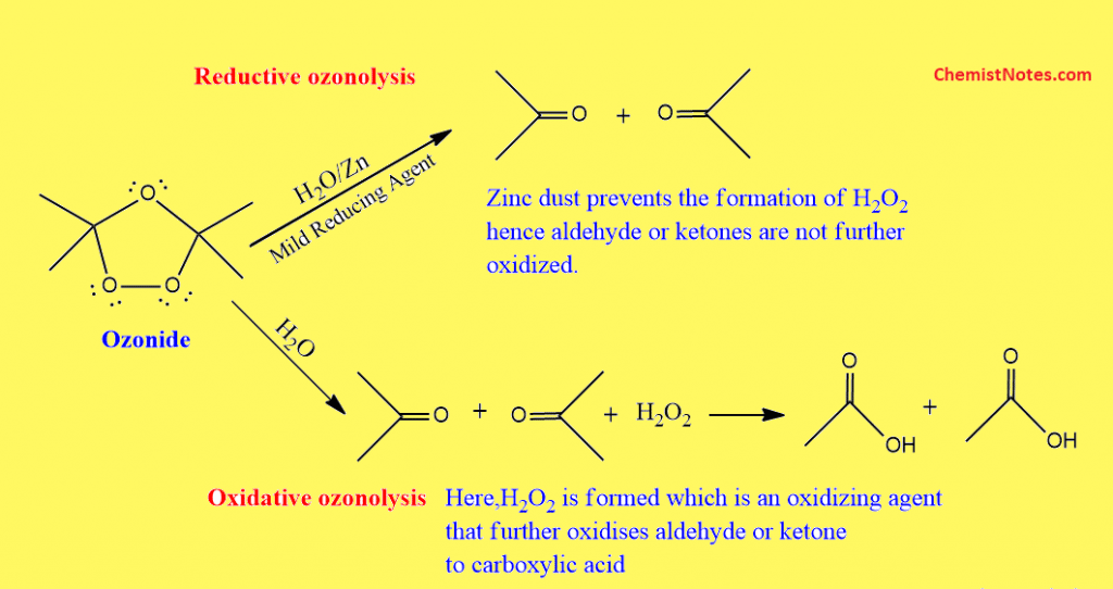 Difference between reductive and oxidative ozonolysis