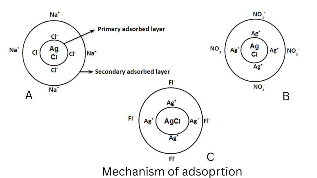 mechanism of adsorption