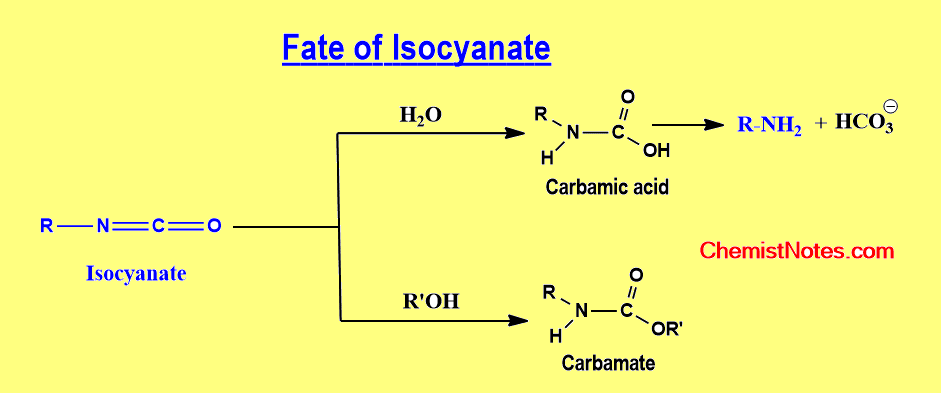 reaction of isocyanate, fate of isocyanate