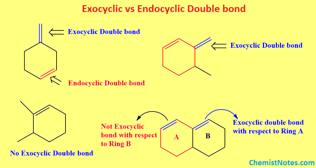 exocyclic bond
endocyclic bond