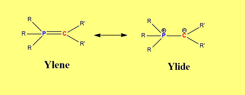 ylene and ylide