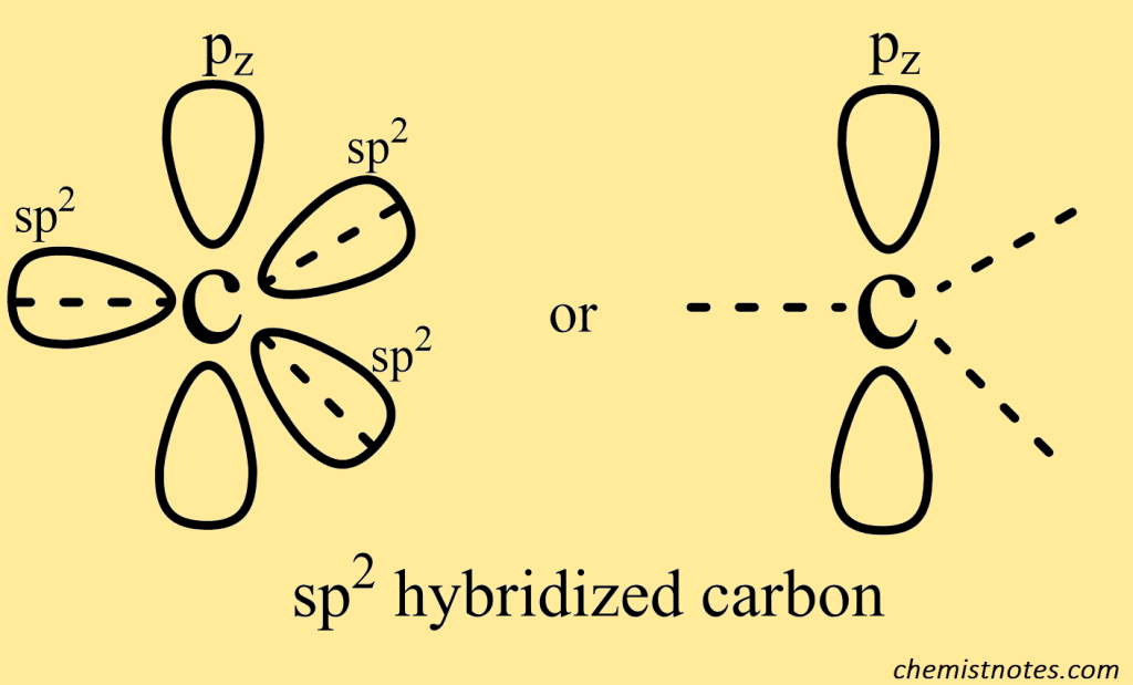alkenes
structure of alkene
hybridization of alkene