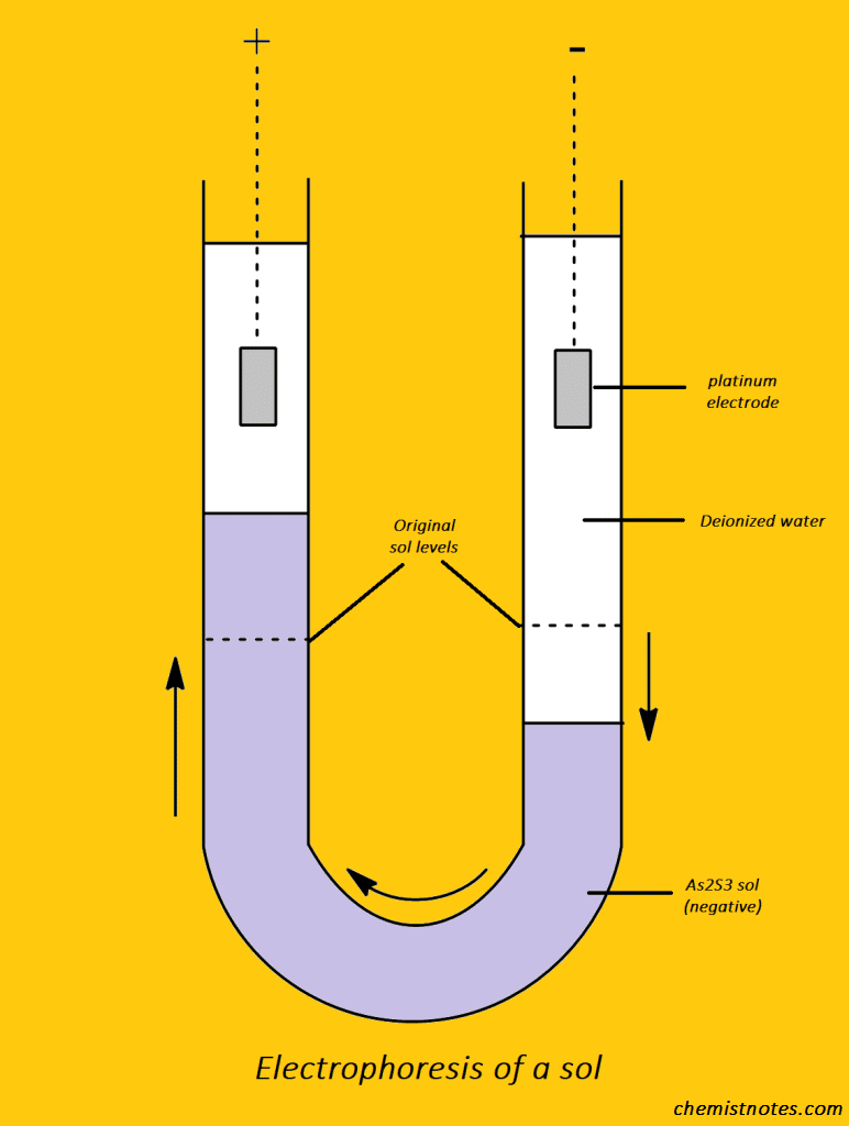 Electrophoresis