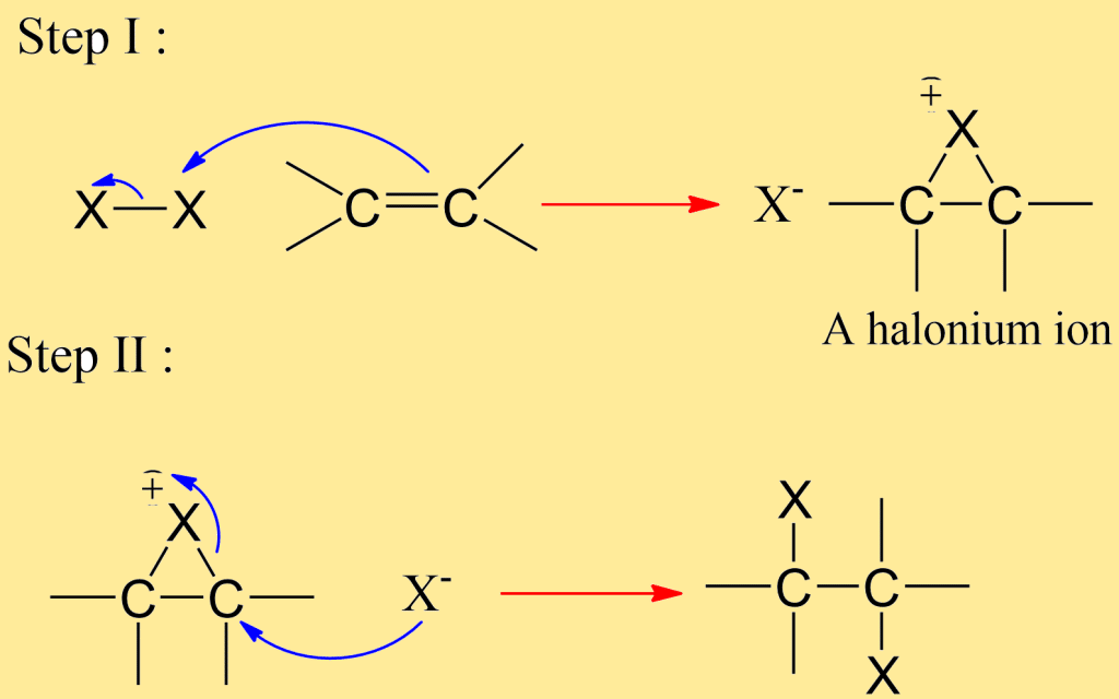 Stereoselective reactions
Mechanism of addition of halogen to an alkene