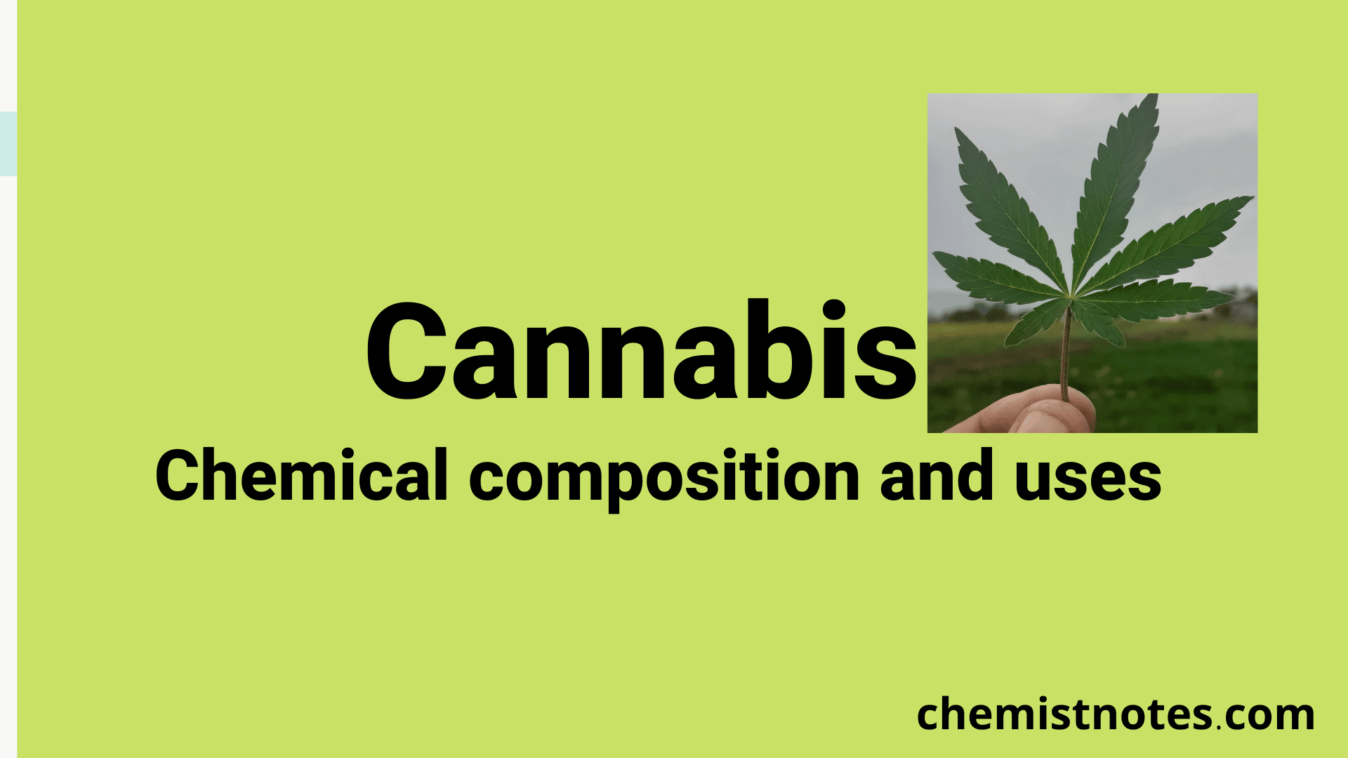 cannabis-chemical-composition-and-uses-chemistry-notes