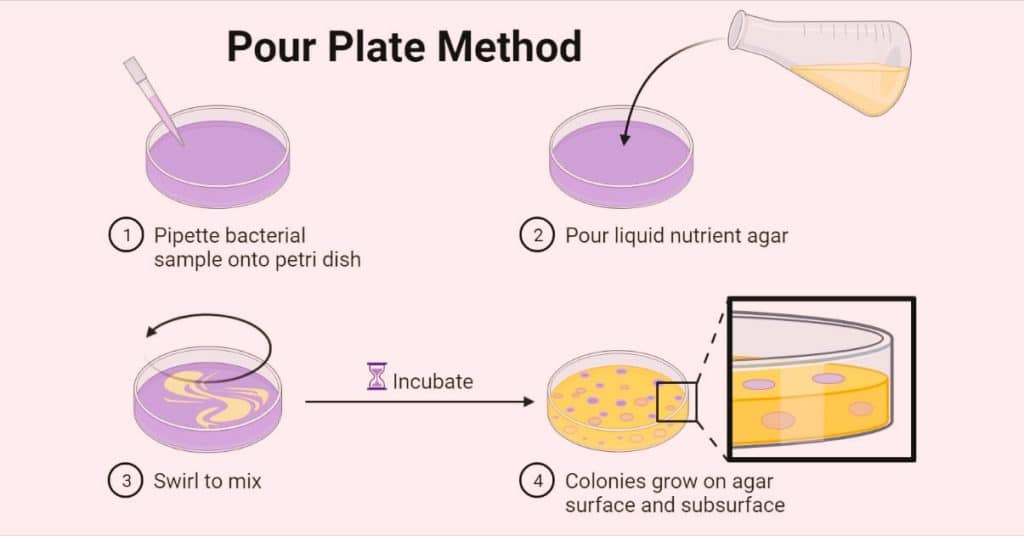 Pour plate methods
