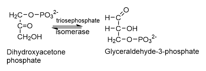 e5