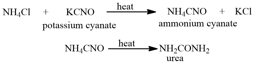 Origin of organic compounds
synthesis of urea