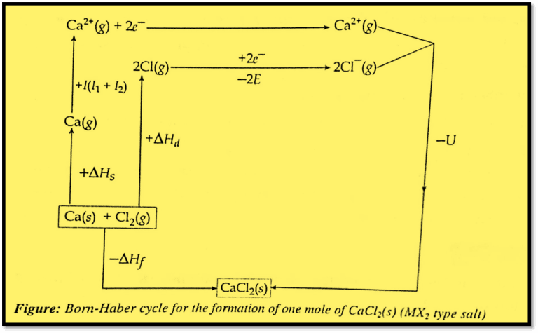 Born Haber Cycle Determination Of Lattice Energy Chemistry Notes