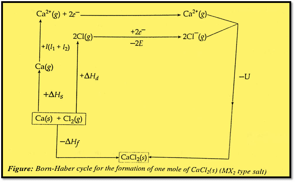 Born-Haber cycle for MX2-type salt