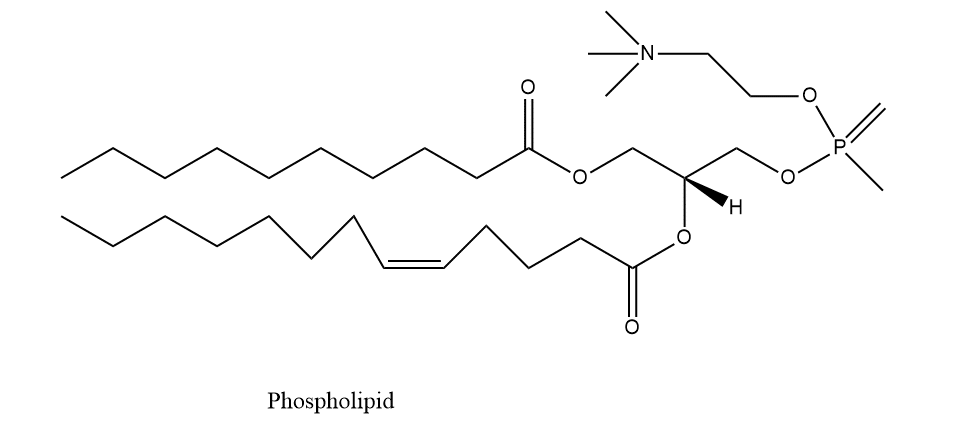 classification of lipids