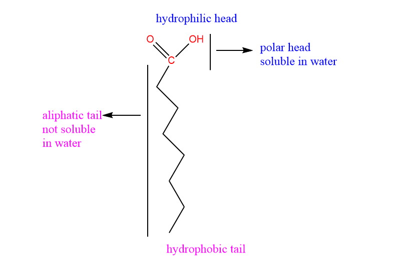 structure of lipid