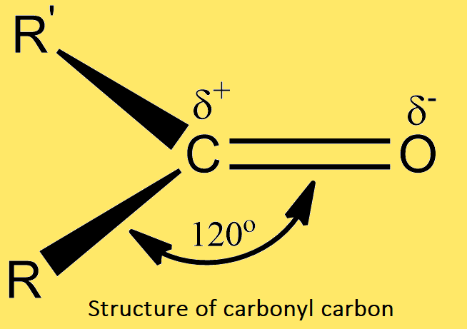 Structure of carbonyl carbon