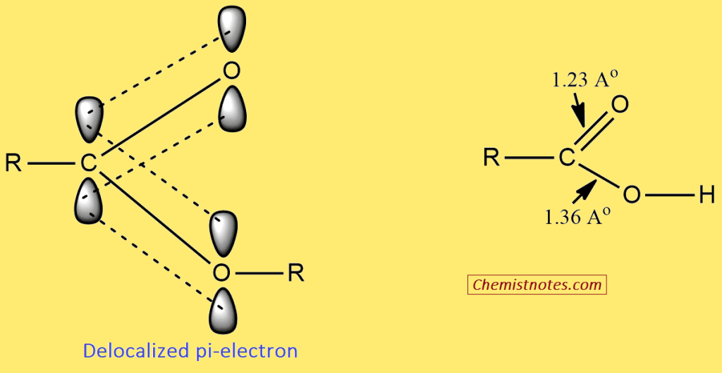 Structure of carboxylic acids