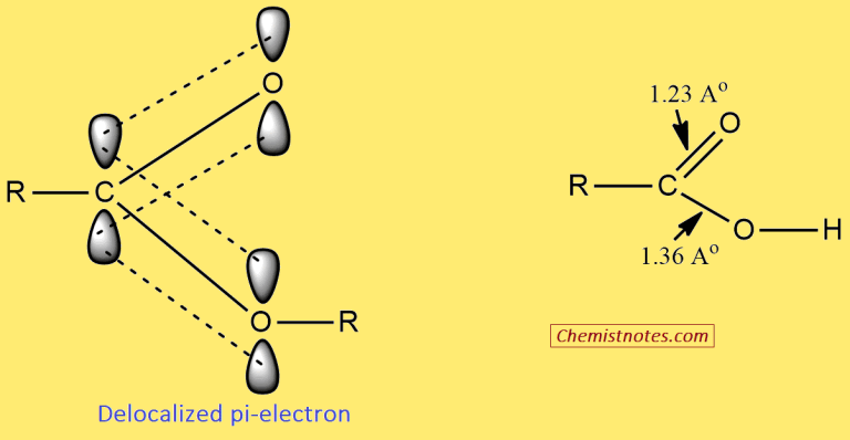 Carboxylic Acids Basic Introduction Structure Nomenclature And Properties Chemistry Notes 8312